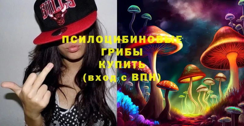 Псилоцибиновые грибы Cubensis  магазин продажи   Задонск 